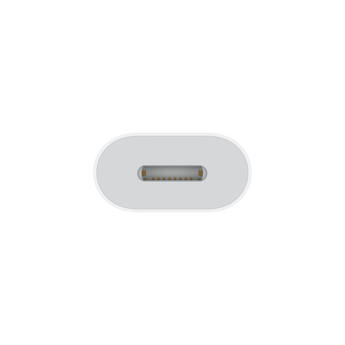 Apple USB-C to Lightning Adapter Accessories | Vishal Electronics Kolkata