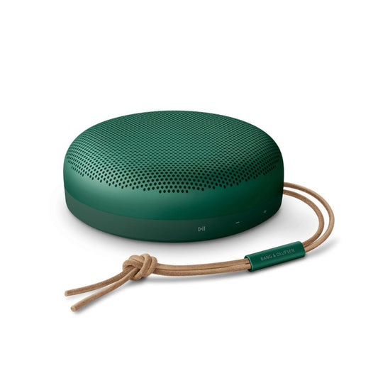 Bang & Olufsen Beosound A1 (2nd Gen) Portable Speaker Green Bluetooth Speaker | Vishal Electronics Kolkata