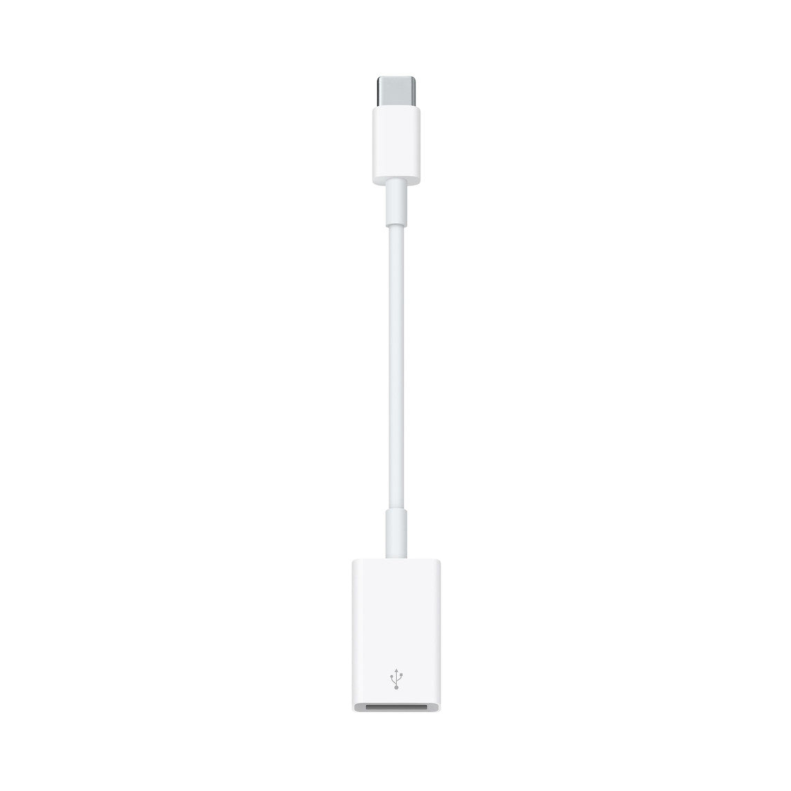 USB-C to USB Adapter Default Accessory | Vishal Electronics Kolkata